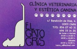 EL GATO GRIS